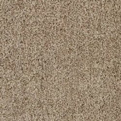 Beaulieu High Five 30oz Carpet Color: Gardenia Beige $2.45/SF